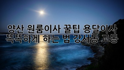 양산 원룸이사 꿀팁🍯 용달이사 똑똑하게 하는 법 (강서동, 교동)